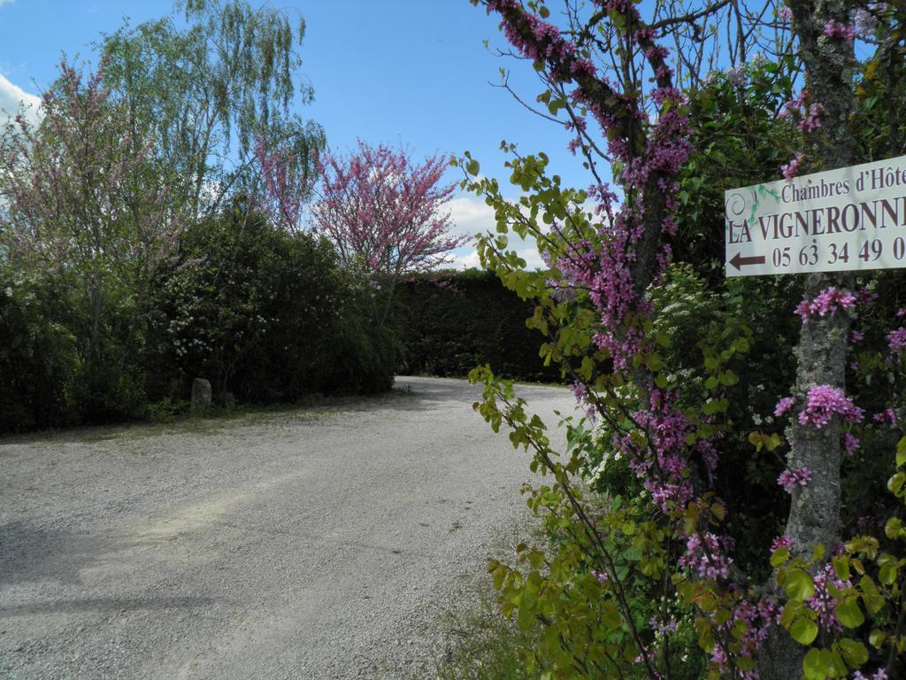 Chambres D'Hotes La Vigneronne Senouillac Exterior foto